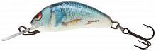 Воблер тонущ. Salmo HORNET S 03.5/RD