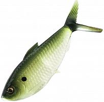 Мягкая приманка 13FISHING The Dine Swimbait 4,25"/ 12g /G