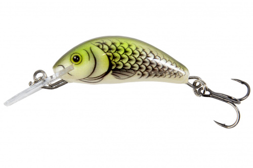 Воблер тонущий Salmo HORNET S 03.5/OHS фото 3