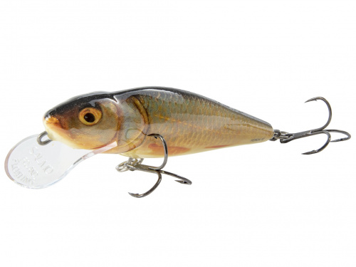 Воблер плавающий Salmo PERCH DR 012/RP