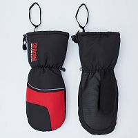 Варежки Alaskan Arctic Patrol Gloves XL (AWGAPXL)