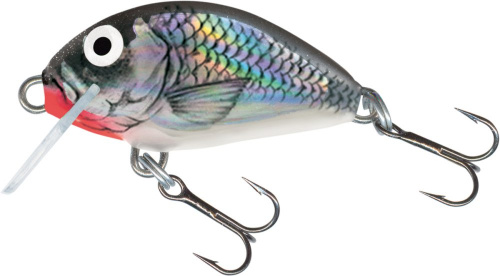 Воблер плавающий Salmo TINY F 03/HGS