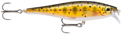 Воблер RAPALA BX Minnow 10 /TR