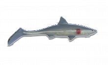 Силиконовая приманка Shark Shad, цвет: Great White, (SS-GW-06)