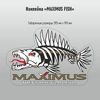 Наклейки Maximus "Рыба" проз/пл 295*193  УФ печать