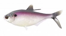 Мягкая приманка 13FISHING B.A.M.F. Shad 8"/ 104g /Purple Shad