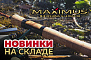 Новинки MAXIMUS уже в продаже!