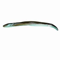 Силикон Gulp! Alive Swimming Eel 8" 20cm 10шт - Silver Mud