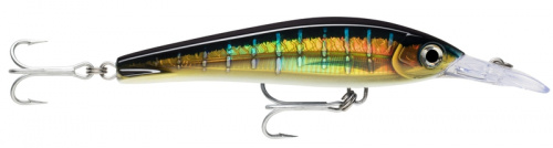 Воблер RAPALA X-Rap Magnum Xtreme 160 /HDSFU