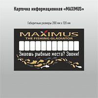 Автовизитка Maximus 2 под стекло авто